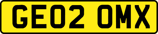 GE02OMX