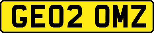 GE02OMZ