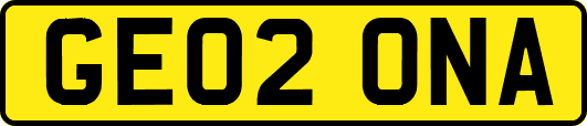 GE02ONA