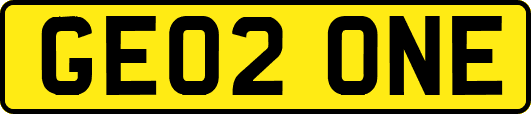 GE02ONE