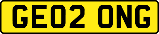GE02ONG