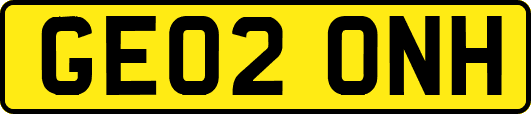 GE02ONH