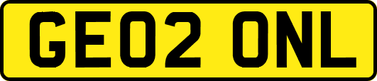 GE02ONL