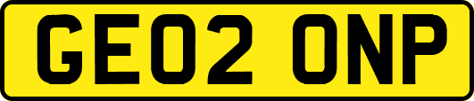 GE02ONP