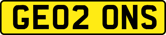 GE02ONS