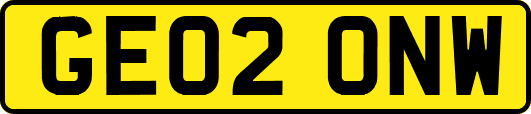 GE02ONW
