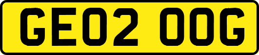 GE02OOG