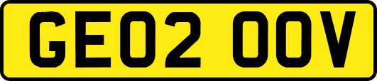 GE02OOV
