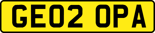 GE02OPA