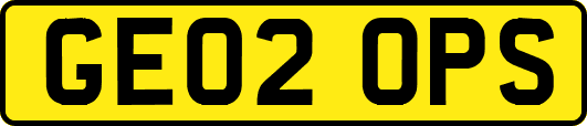 GE02OPS