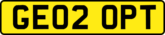GE02OPT