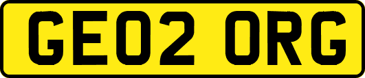 GE02ORG