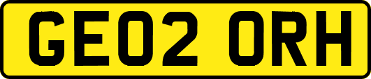GE02ORH