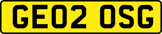 GE02OSG