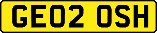 GE02OSH