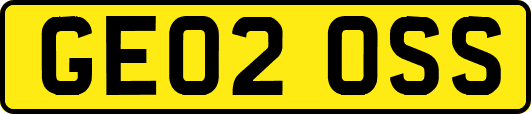 GE02OSS