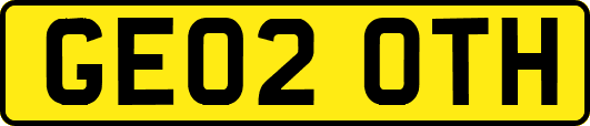 GE02OTH