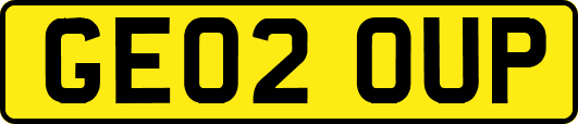 GE02OUP