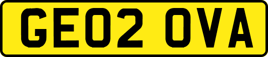 GE02OVA