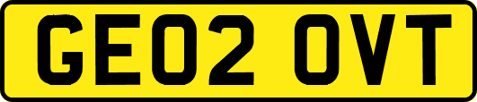 GE02OVT