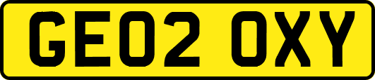 GE02OXY