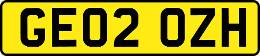 GE02OZH
