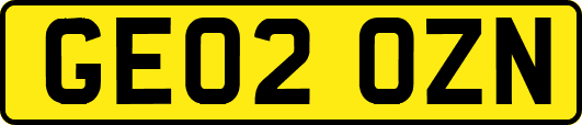 GE02OZN