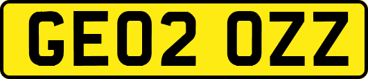 GE02OZZ
