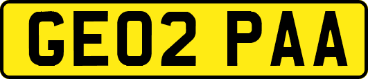 GE02PAA