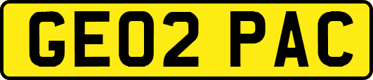 GE02PAC