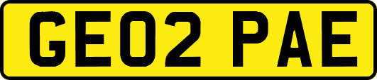 GE02PAE