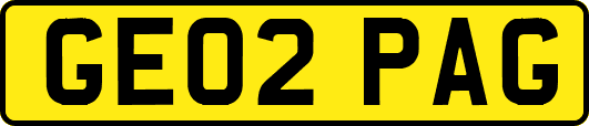 GE02PAG