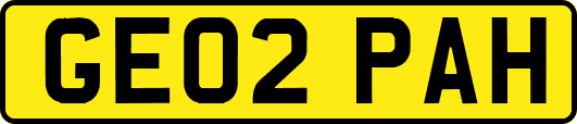 GE02PAH