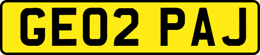 GE02PAJ