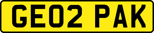 GE02PAK