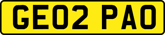 GE02PAO