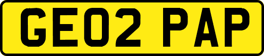 GE02PAP