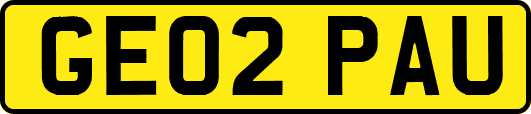 GE02PAU