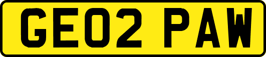 GE02PAW