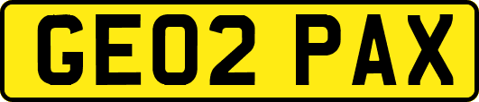 GE02PAX
