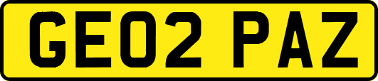 GE02PAZ