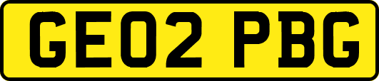 GE02PBG