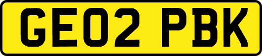 GE02PBK