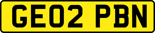 GE02PBN