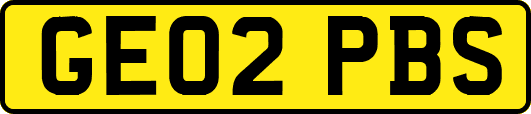 GE02PBS