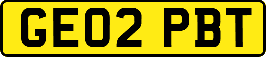 GE02PBT