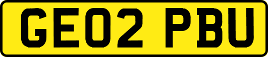 GE02PBU