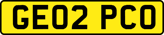 GE02PCO