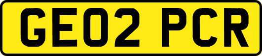 GE02PCR