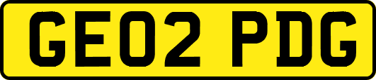 GE02PDG